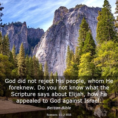 Picture 03 - Romans 11:2 BSB - God did not reject His people, whom He foreknew. - Bible Verse Picture