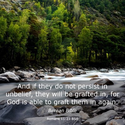 Picture 03 - Romans 11:23 BSB - And if they do not persist in unbelief, they will - Bible Verse Picture