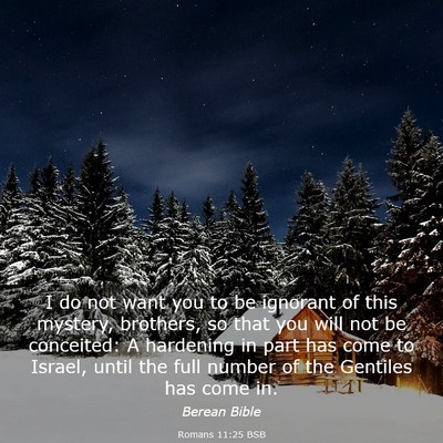 Picture 03 - Romans 11:25 BSB - I do not want you to be ignorant of this mystery, - Bible Verse Picture
