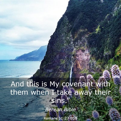 Picture 03 - Romans 11:27 BSB - And this is My covenant with them when I take - Bible Verse Picture