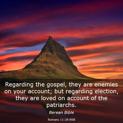 Picture 03 - Romans 11:28 BSB - Regarding the gospel, they are enemies on your - Bible Verse Picture