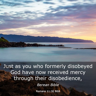 Picture 03 - Romans 11:30 BSB - Just as you who formerly disobeyed God have now - Bible Verse Picture