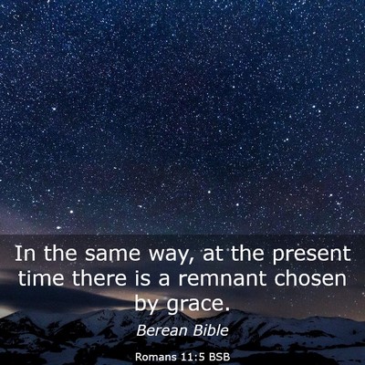 Picture 03 - Romans 11:5 BSB - In the same way, at the present time there is a - Bible Verse Picture