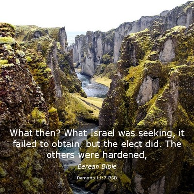 Picture 03 - Romans 11:7 BSB - What then? What Israel was seeking, it failed to - Bible Verse Picture