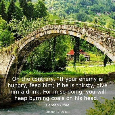 Picture 03 - Romans 12:20 BSB - On the contrary, “If your enemy is hungry, feed - Bible Verse Picture