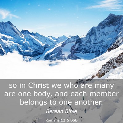 Picture 03 - Romans 12:5 BSB - so in Christ we who are many are one body, and - Bible Verse Picture