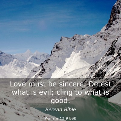 Picture 03 - Romans 12:9 BSB - Love must be sincere. Detest what is evil; cling - Bible Verse Picture