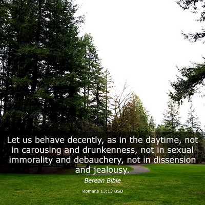 Picture 03 - Romans 13:13 BSB - Let us behave decently, as in the daytime, not in - Bible Verse Picture