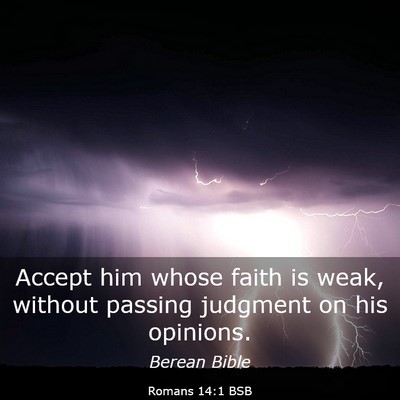 Picture 03 - Romans 14:1 BSB - Accept him whose faith is weak, without passing - Bible Verse Picture