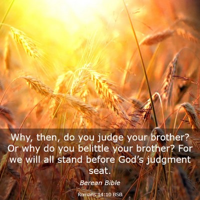 Picture 03 - Romans 14:10 BSB - Why, then, do you judge your brother? Or why do - Bible Verse Picture