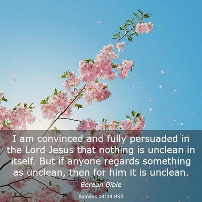 Picture 03 - Romans 14:14 BSB - I am convinced and fully persuaded in the Lord - Bible Verse Picture