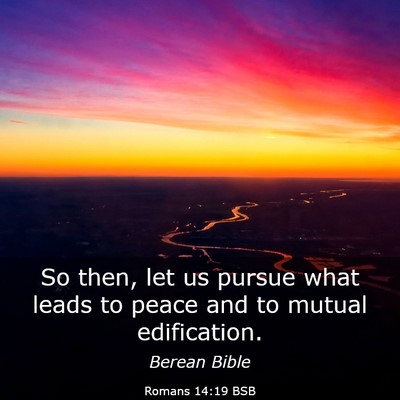 Picture 03 - Romans 14:19 BSB - So then, let us pursue what leads to peace and to - Bible Verse Picture