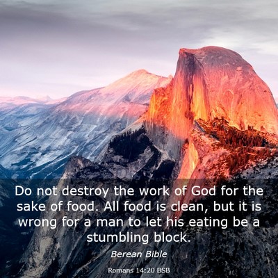 Picture 03 - Romans 14:20 BSB - Do not destroy the work of God for the sake of - Bible Verse Picture