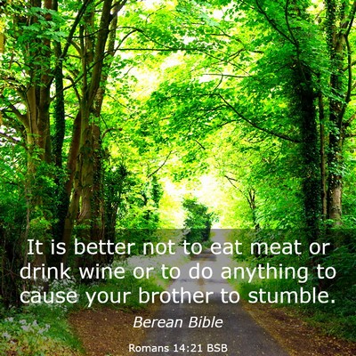 Picture 03 - Romans 14:21 BSB - It is better not to eat meat or drink wine or to - Bible Verse Picture