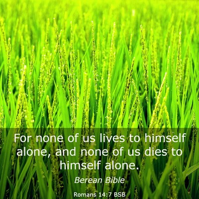 Picture 03 - Romans 14:7 BSB - For none of us lives to himself alone, and none - Bible Verse Picture
