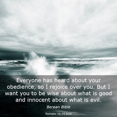 Picture 03 - Romans 16:19 BSB - Everyone has heard about your obedience, so I - Bible Verse Picture