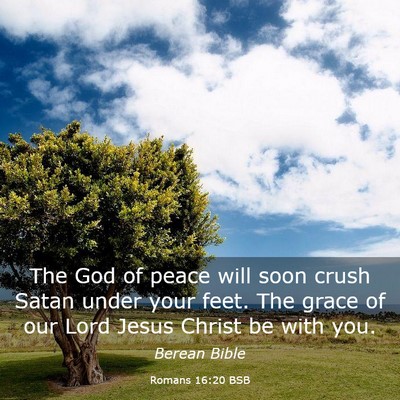 Picture 03 - Romans 16:20 BSB - The God of peace will soon crush Satan under your - Bible Verse Picture