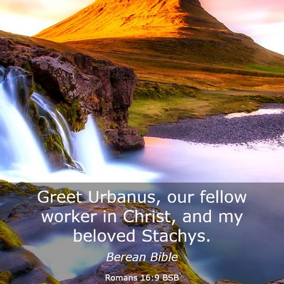 Picture 03 - Romans 16:9 BSB - Greet Urbanus, our fellow worker in Christ, and - Bible Verse Picture