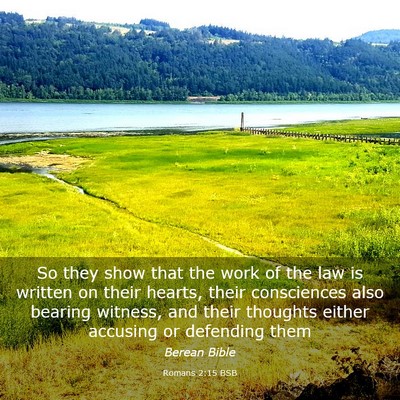 Picture 03 - Romans 2:15 BSB - So they show that the work of the law is written - Bible Verse Picture
