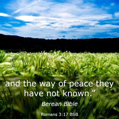 Picture 03 - Romans 3:17 BSB - and the way of peace they have not - Bible Verse Picture