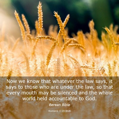 Picture 03 - Romans 3:19 BSB - Now we know that whatever the law says, it says - Bible Verse Picture