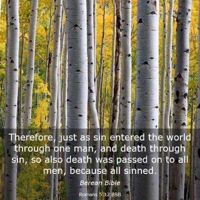 Picture 03 - Romans 5:12 BSB - Therefore, just as sin entered the world through - Bible Verse Picture