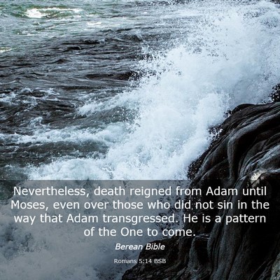 Picture 03 - Romans 5:14 BSB - Nevertheless, death reigned from Adam until - Bible Verse Picture