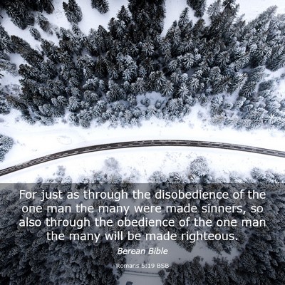 Picture 03 - Romans 5:19 BSB - For just as through the disobedience of the one - Bible Verse Picture