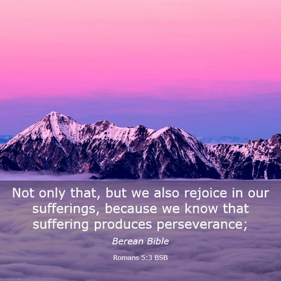 Picture 03 - Romans 5:3 BSB - Not only that, but we also rejoice in our - Bible Verse Picture