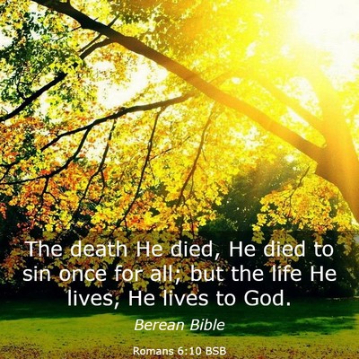 Picture 03 - Romans 6:10 BSB - The death He died, He died to sin once for all; - Bible Verse Picture