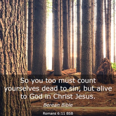 Picture 03 - Romans 6:11 BSB - So you too must count yourselves dead to sin, but - Bible Verse Picture