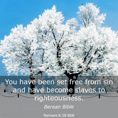 Picture 03 - Romans 6:18 BSB - You have been set free from sin and have become - Bible Verse Picture