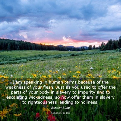 Picture 03 - Romans 6:19 BSB - I am speaking in human terms because of the - Bible Verse Picture