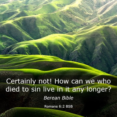 Picture 03 - Romans 6:2 BSB - Certainly not! How can we who died to sin live in - Bible Verse Picture