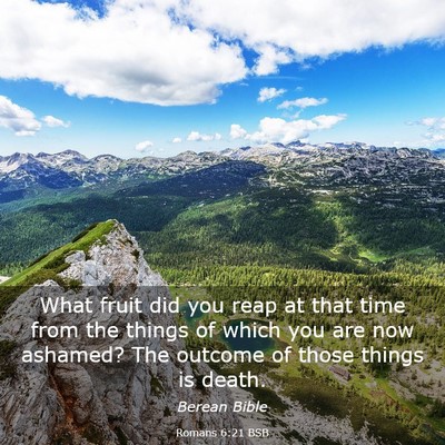 Picture 03 - Romans 6:21 BSB - What fruit did you reap at that time from the - Bible Verse Picture