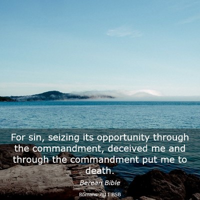 Picture 03 - Romans 7:11 BSB - For sin, seizing its opportunity through the - Bible Verse Picture