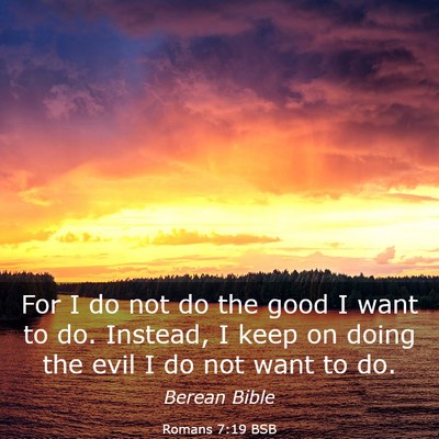 Picture 03 - Romans 7:19 BSB - For I do not do the good I want to do. Instead, I - Bible Verse Picture