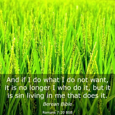 Picture 03 - Romans 7:20 BSB - And if I do what I do not want, it is no longer I - Bible Verse Picture