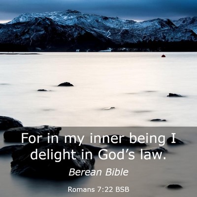 Picture 03 - Romans 7:22 BSB - For in my inner being I delight in God’s - Bible Verse Picture