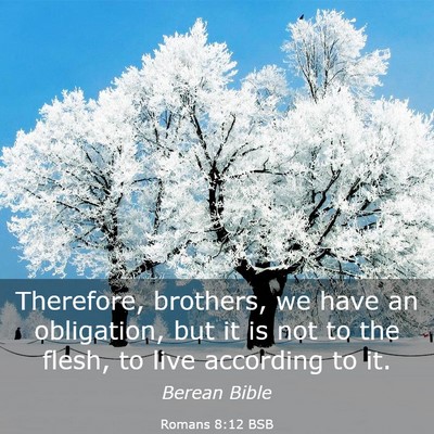 Picture 03 - Romans 8:12 BSB - Therefore, brothers, we have an obligation, but - Bible Verse Picture
