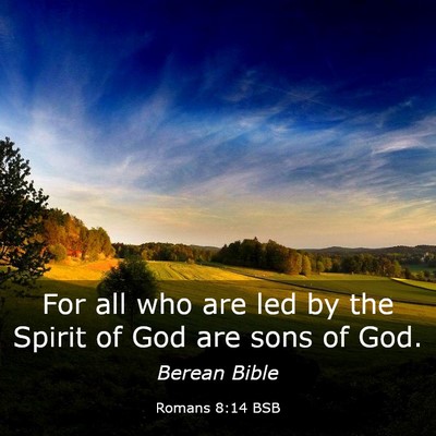 Picture 03 - Romans 8:14 BSB - For all who are led by the Spirit of God are sons - Bible Verse Picture