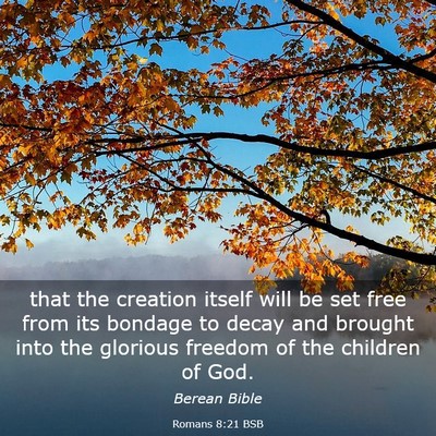 Picture 03 - Romans 8:21 BSB - that the creation itself will be set free from - Bible Verse Picture