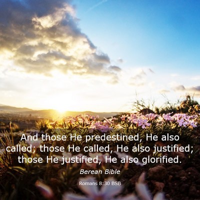 Picture 03 - Romans 8:30 BSB - And those He predestined, He also called; those - Bible Verse Picture