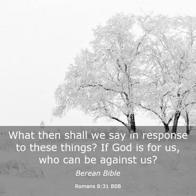Picture 03 - Romans 8:31 BSB - What then shall we say in response to these - Bible Verse Picture
