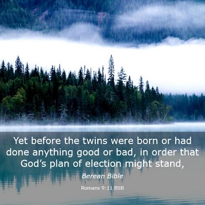 Picture 03 - Romans 9:11 BSB - Yet before the twins were born or had done - Bible Verse Picture