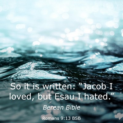 Picture 03 - Romans 9:13 BSB - So it is written: “Jacob I loved, but Esau I - Bible Verse Picture