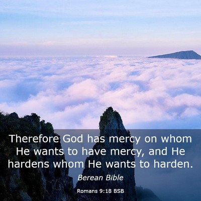 Picture 03 - Romans 9:18 BSB - Therefore God has mercy on whom He wants to have - Bible Verse Picture