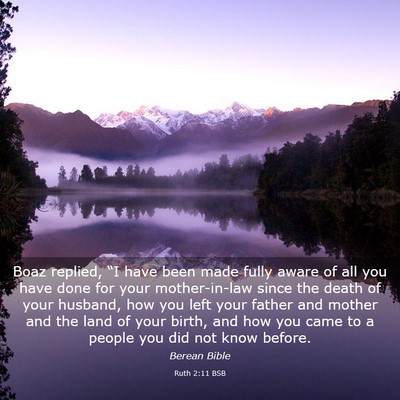 Picture 03 - Ruth 2:11 BSB - Boaz replied, “I have been made fully aware of - Bible Verse Picture
