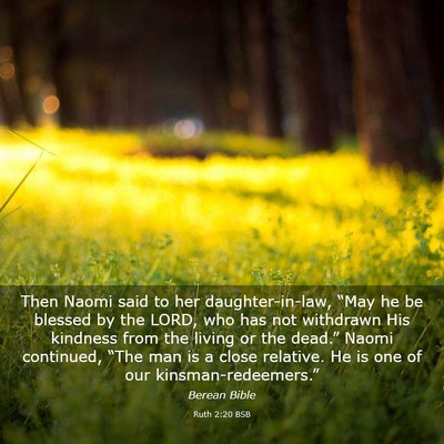 Picture 03 - Ruth 2:20 BSB - Then Naomi said to her daughter-in-law, “May he - Bible Verse Picture