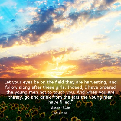 Picture 03 - Ruth 2:9 BSB - Let your eyes be on the field they are - Bible Verse Picture